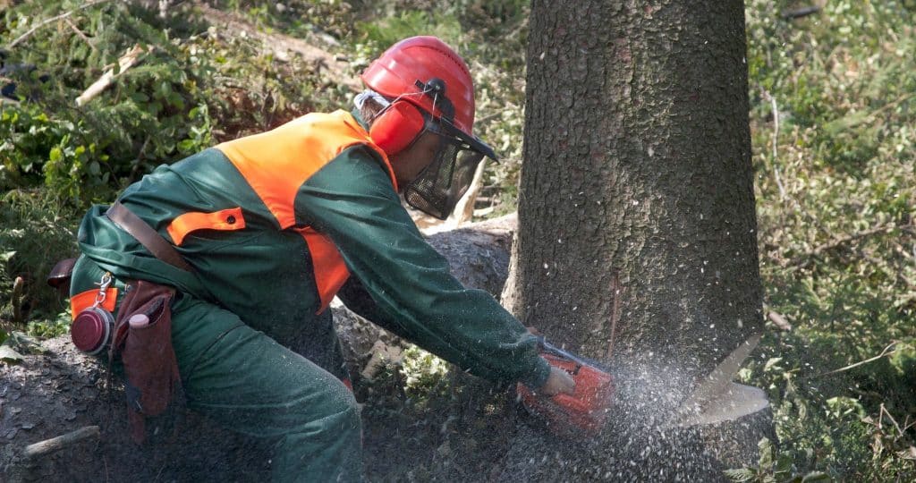 Metsänhoitopalvelut